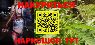 индика Ливны