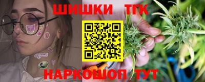 индика Ливны
