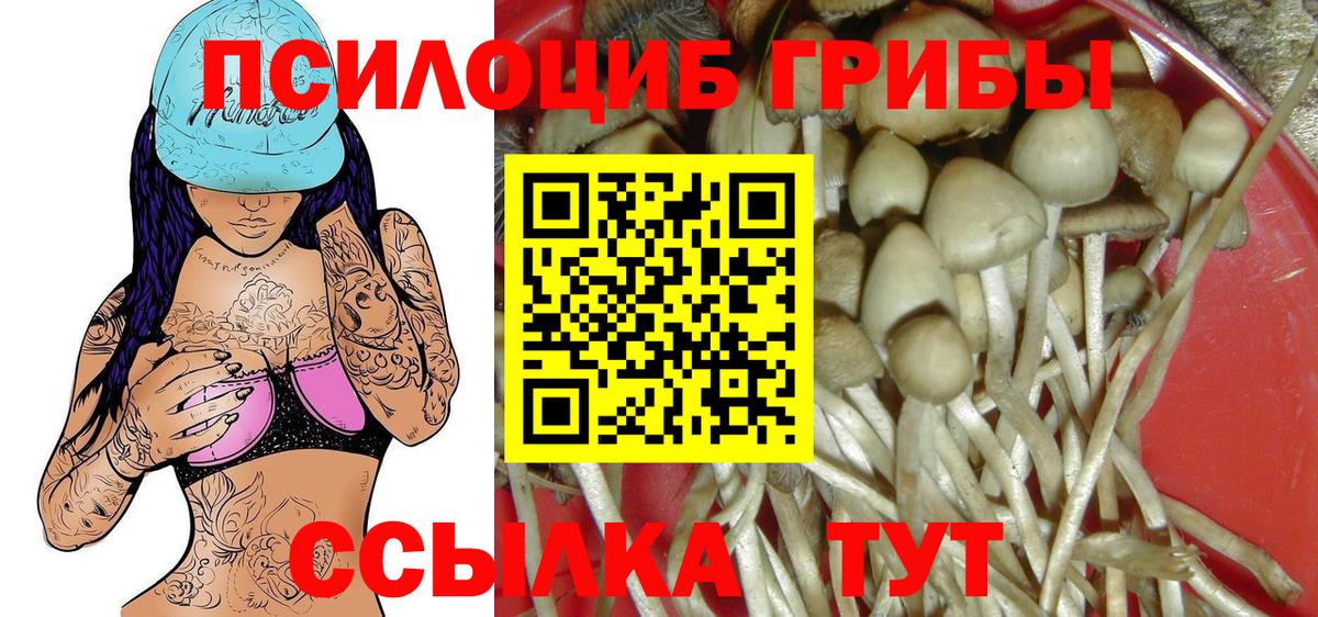 Галлюциногенные грибы MAGIC MUSHROOMS Иваново