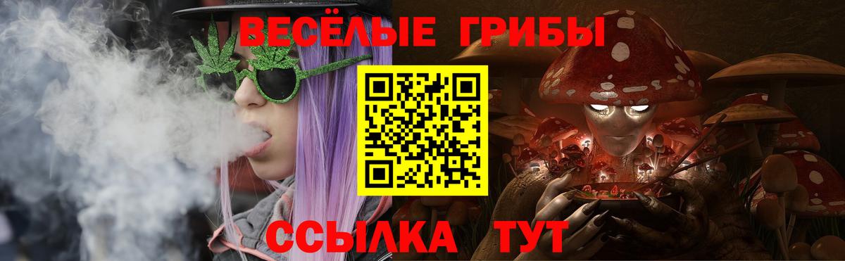 Галлюциногенные грибы Magic Shrooms  Вход с VPN  Иваново 